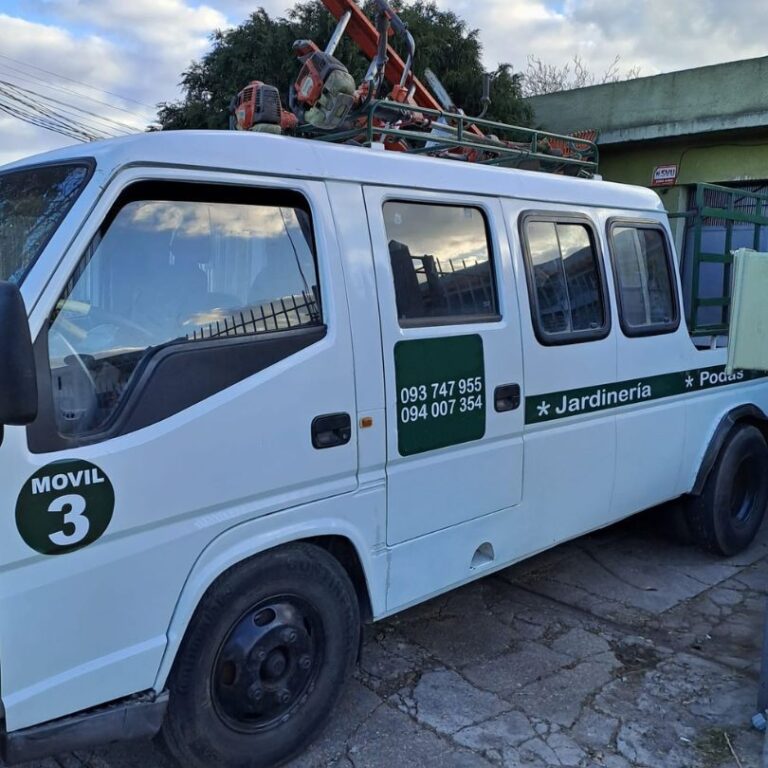 FOTOS 1 X 1 VERDISOR - 22